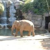Fresno Chaffee Zoo