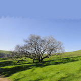 Dry Creek Pioneer Regional Park