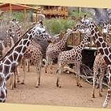 Cheyenne Mountain Zoo