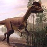 Dinosaur State Park and Arboretum