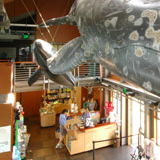 Santa Barbara Museum of Natural History Sea Center