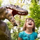 Museum of Life and Science