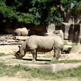 Roger Williams Park Zoo