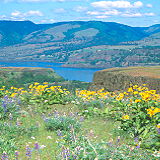Columbia River Gorge National Scenic Area