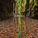 Oneonta Gorge