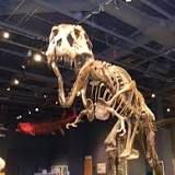 Orlando Science Center