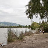 Fremont Central Park