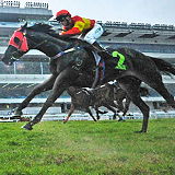 Singapore Turf Club