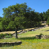 Joaquin Miller Park