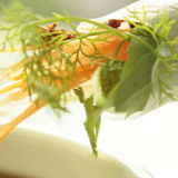 Wrap and Roll Restaurant