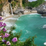 Julia Pfeiffer Burns State Park