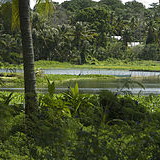 Buada Lagoon