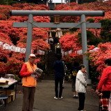 Tenno Shrine