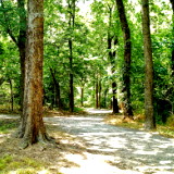 Ray Harral Nature Park and Center