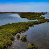 Bolsa Chica Ecological Reserve