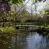 Clark Gardens Botanical Park
