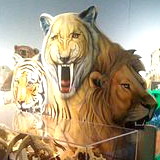 Discovery Science Place