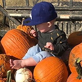 The Grove of Old Town Clovis Pumpkin Patch