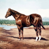American Quarter Horse Hall of Fame