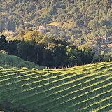 Marimar Estate Vineyards and Winery