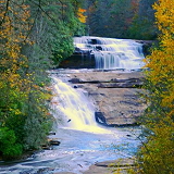 DuPont State Recreational Forest