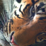 Greensboro Science Center