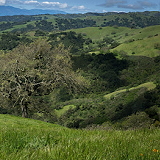 Henry W. Coe State Park