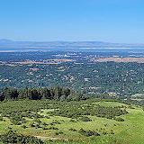 Windy Hill Open Space Preserve