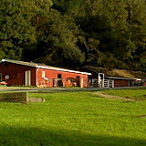 Glenwood Equestrian Center
