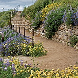 Ventura Botanical Gardens