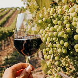 Leal Vineyards Winery