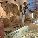 Heritage of the Americas Museum