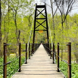 Swinging Bridge at Orange Grove