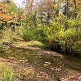 Mill Brook Preserve