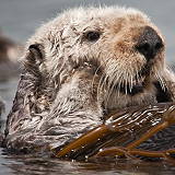 Central Coast Aquarium