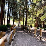 Carbon Canyon Regional Park