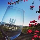 Castelli Family Vineyards