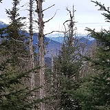 McKenzie Mountain Wilderness