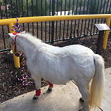 Susanna Bixby Bryant Museum