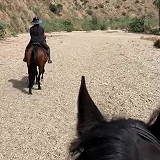 Encanto Equestrian Center