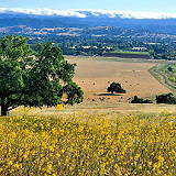 Coyote Lake Harvey Bear Ranch