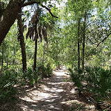 Lower Hillsborough Wilderness Preserve