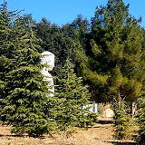 Lieu Quan Meditation Center