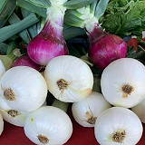 Bautista Creek Ranches