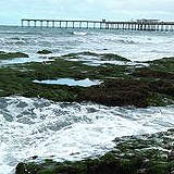 Ocean Beach Tide Pools