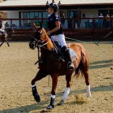 Rancho Silverado Stables