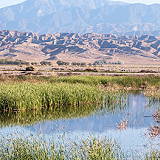 San Jacinto Wildlife Area