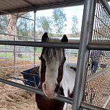 Peacock Hill Equestrian Center