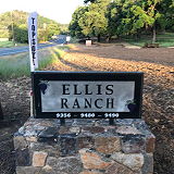 Ellis Ranch