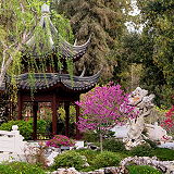 The Huntington Chinese Garden